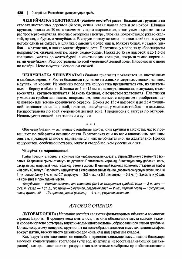Михаил Вишневский - Готовим из дикоросов. Папоротники, водоросли, лишайники и грибы - Страница № 431