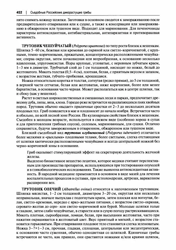 Михаил Вишневский - Готовим из дикоросов. Папоротники, водоросли, лишайники и грибы - Страница № 455