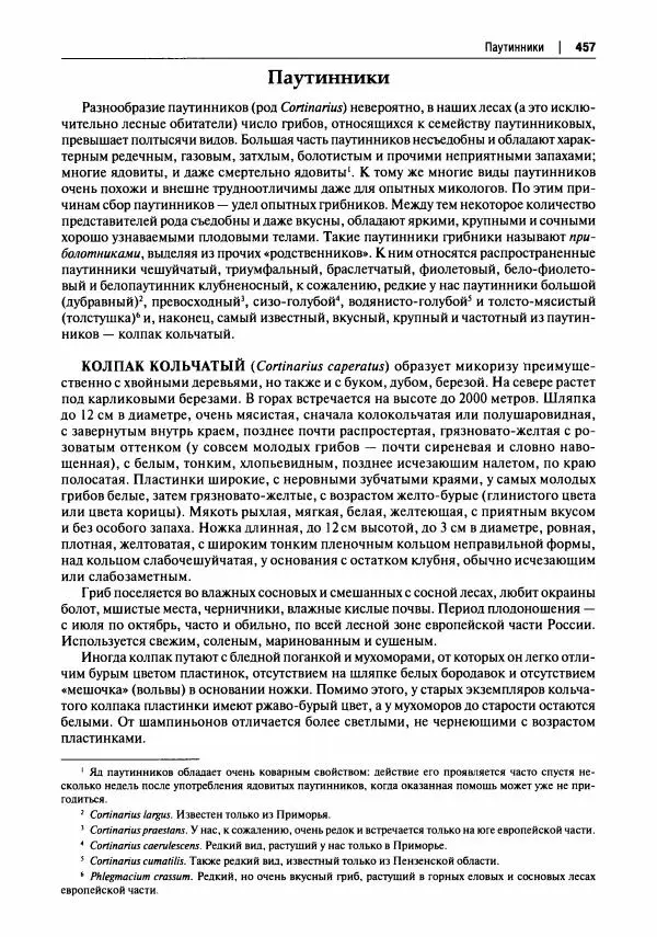 Михаил Вишневский - Готовим из дикоросов. Папоротники, водоросли, лишайники и грибы - Страница № 460