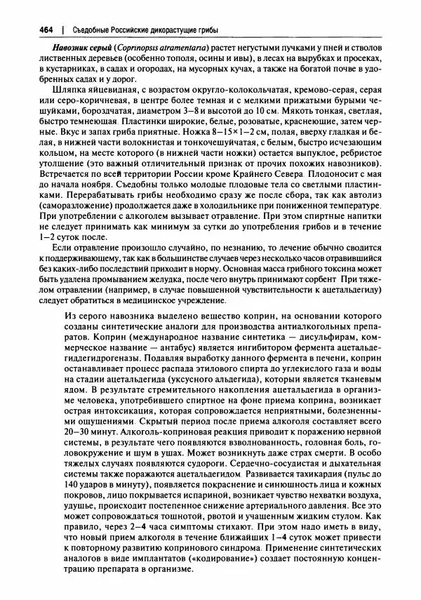 Михаил Вишневский - Готовим из дикоросов. Папоротники, водоросли, лишайники и грибы - Страница № 468