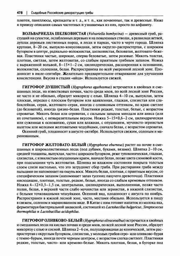 Михаил Вишневский - Готовим из дикоросов. Папоротники, водоросли, лишайники и грибы - Страница № 481