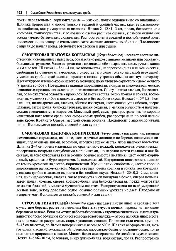 Михаил Вишневский - Готовим из дикоросов. Папоротники, водоросли, лишайники и грибы - Страница № 495