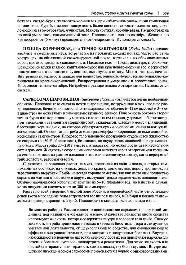 Михаил Вишневский - Готовим из дикоросов. Папоротники, водоросли, лишайники и грибы - Страница № 512