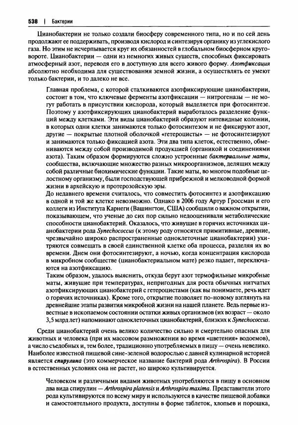 Михаил Вишневский - Готовим из дикоросов. Папоротники, водоросли, лишайники и грибы - Страница № 541