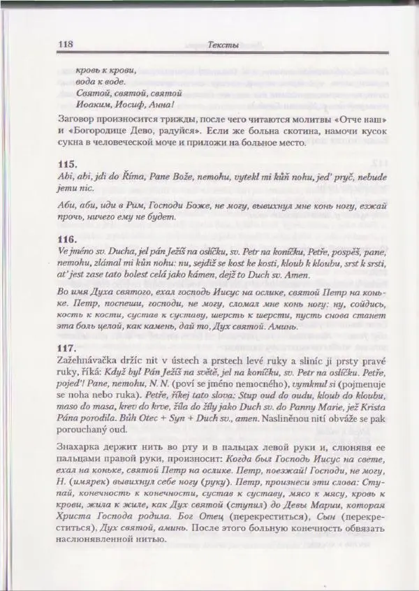 Е Вельмезова - Чешские заговоры. Исследования и тексты - Страница № 112