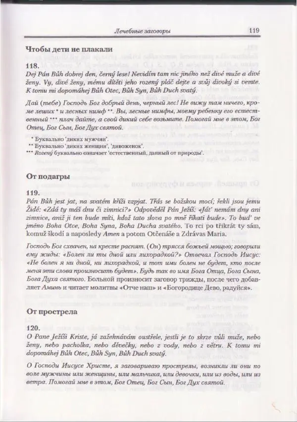 Е Вельмезова - Чешские заговоры. Исследования и тексты - Страница № 113
