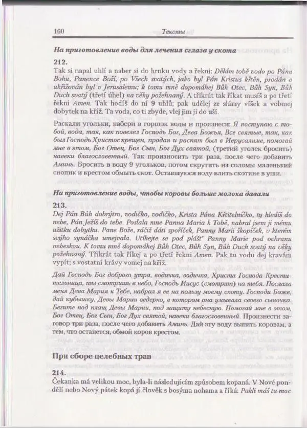 Е Вельмезова - Чешские заговоры. Исследования и тексты - Страница № 154