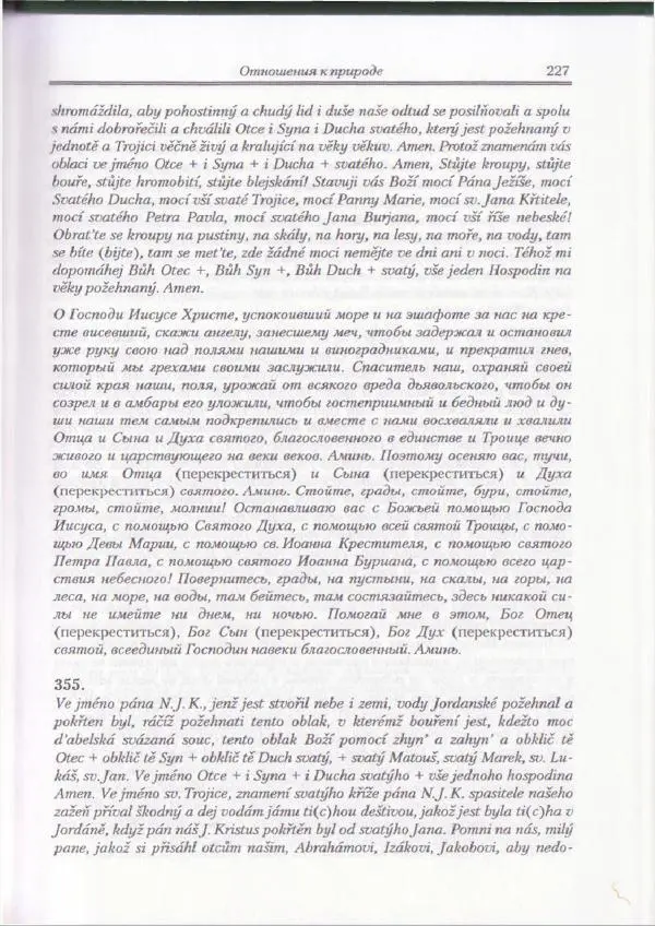 Е Вельмезова - Чешские заговоры. Исследования и тексты - Страница № 221