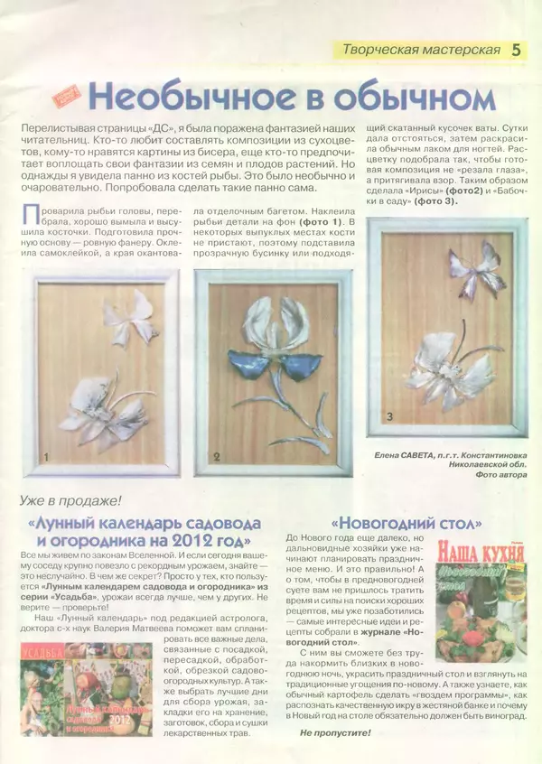  журнал «Делаем сами» (Толока) - Делаем сами 2011 №19(256) - Страница № 5