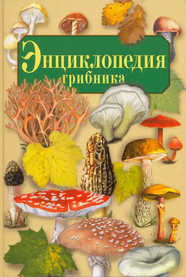 Алексей Умельцев - Энциклопедия грибника - Страница № 1