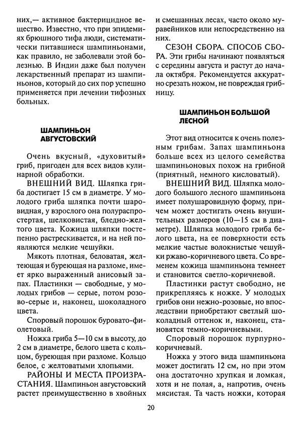 Алексей Умельцев - Энциклопедия грибника - Страница № 21