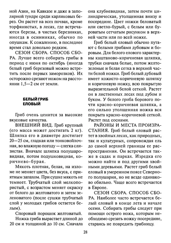 Алексей Умельцев - Энциклопедия грибника - Страница № 29