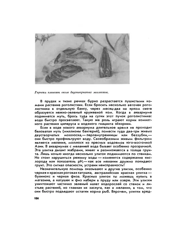 Марк Махлин - Занимательный аквариум - Страница № 115
