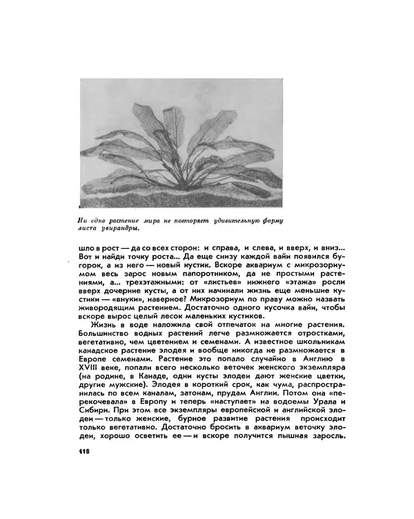 Марк Махлин - Занимательный аквариум - Страница № 127