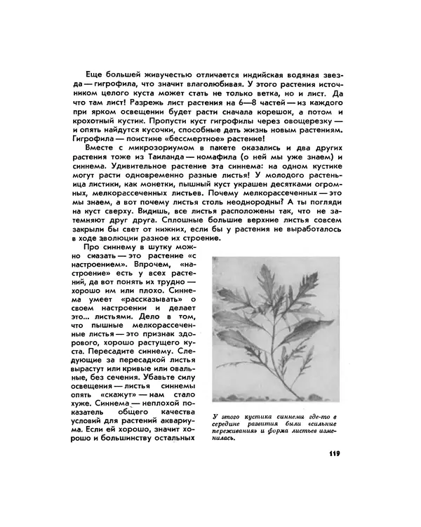 Марк Махлин - Занимательный аквариум - Страница № 128