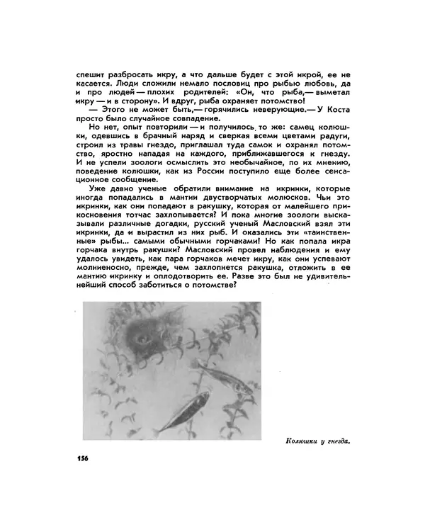 Марк Махлин - Занимательный аквариум - Страница № 167