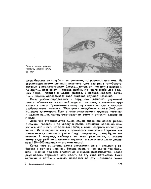 Марк Махлин - Занимательный аквариум - Страница № 190