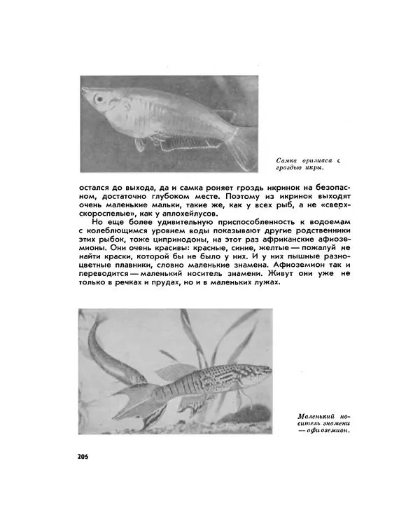 Марк Махлин - Занимательный аквариум - Страница № 219