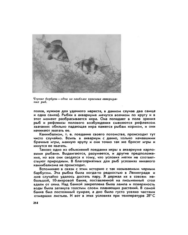Марк Махлин - Занимательный аквариум - Страница № 229