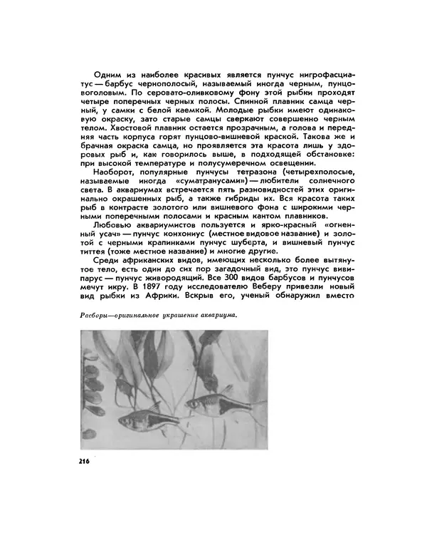 Марк Махлин - Занимательный аквариум - Страница № 231