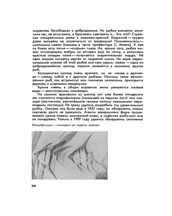 Марк Махлин - Занимательный аквариум - Страница № 258