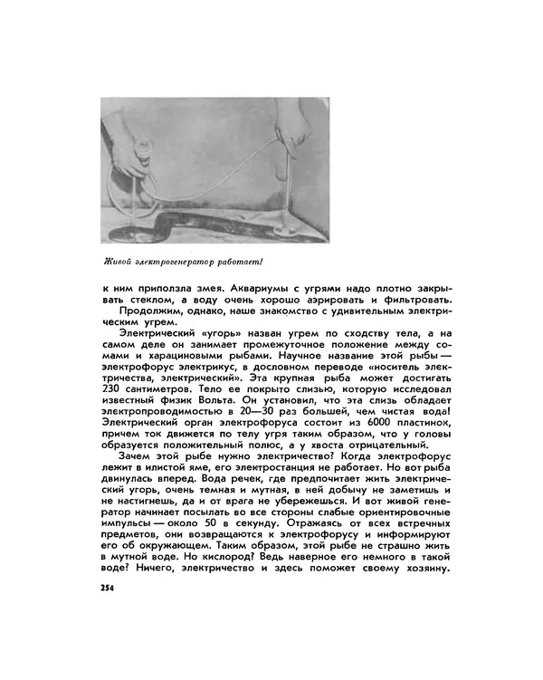 Марк Махлин - Занимательный аквариум - Страница № 270