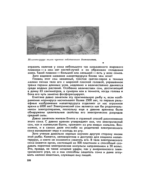 Марк Махлин - Занимательный аквариум - Страница № 274
