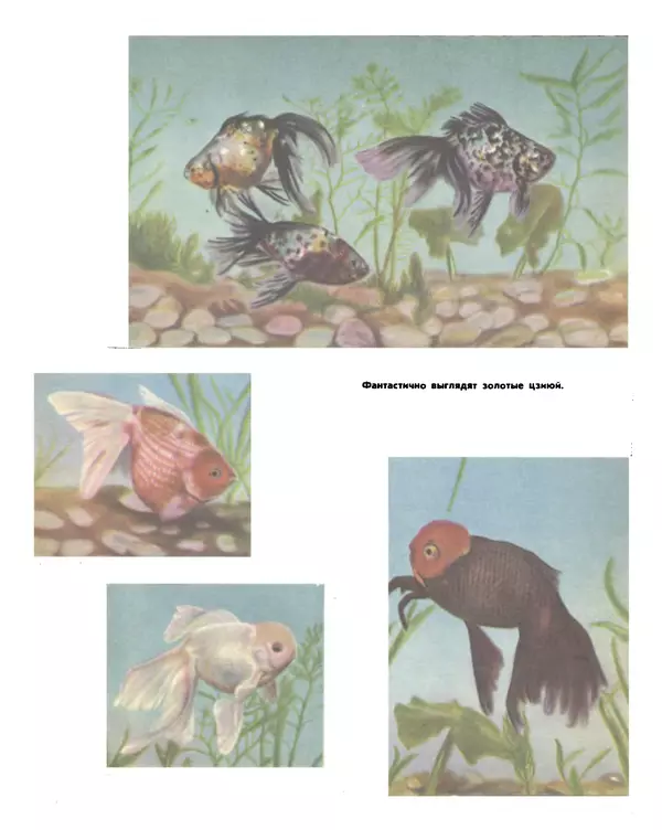 Марк Махлин - Занимательный аквариум - Страница № 289