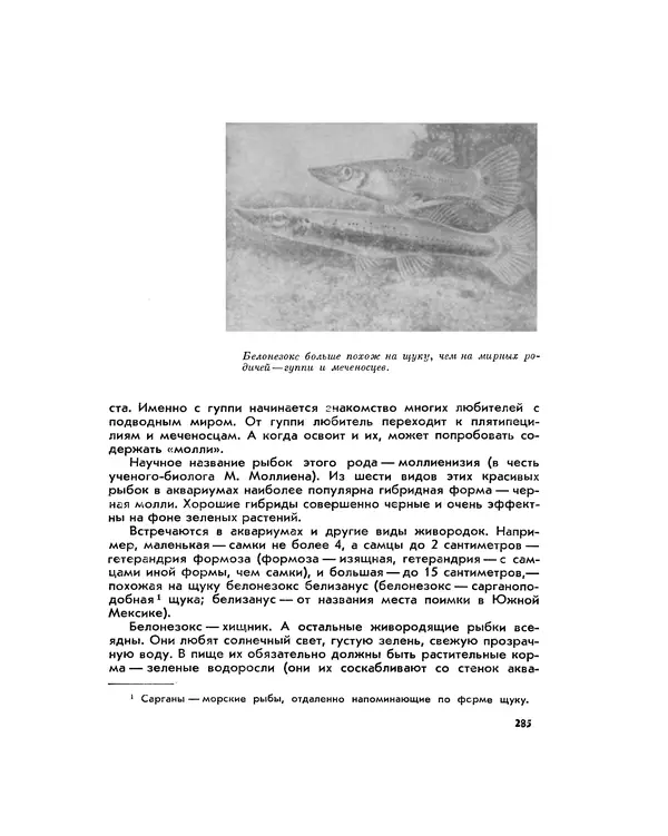 Марк Махлин - Занимательный аквариум - Страница № 303
