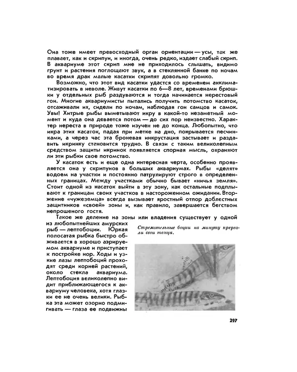 Марк Махлин - Занимательный аквариум - Страница № 315