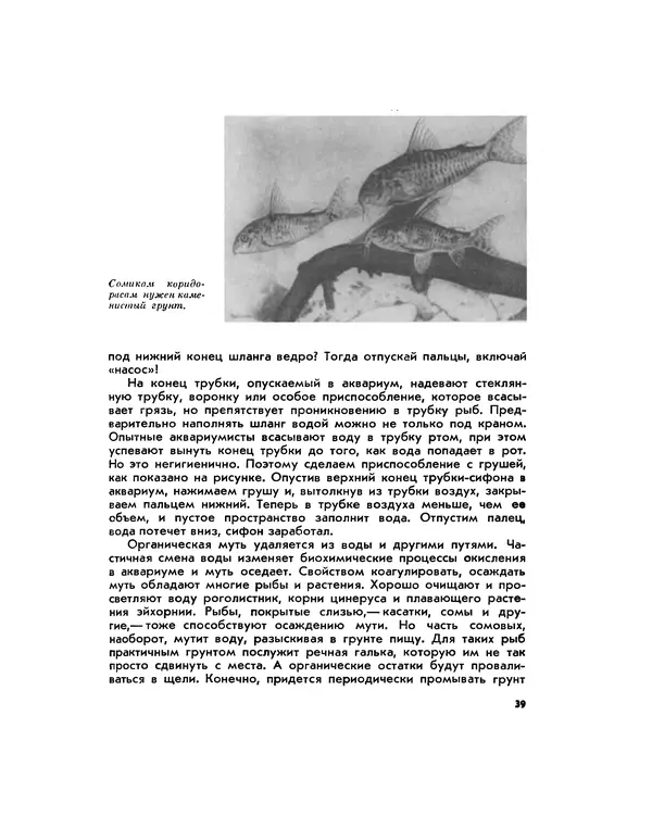 Марк Махлин - Занимательный аквариум - Страница № 45