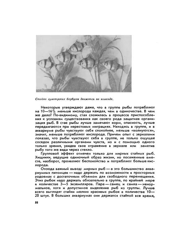 Марк Махлин - Занимательный аквариум - Страница № 64