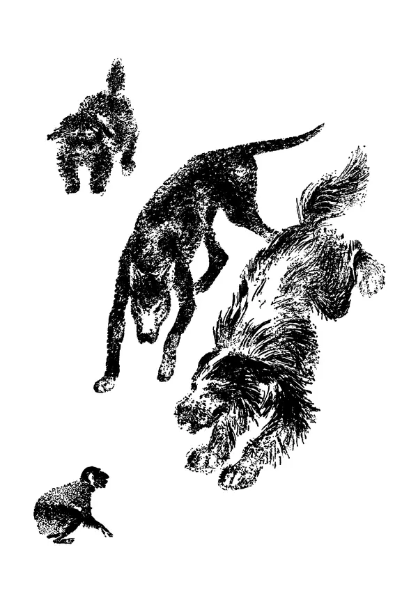 Борис Житков - Что я видел. Рассказы и сказки - Страница № 359