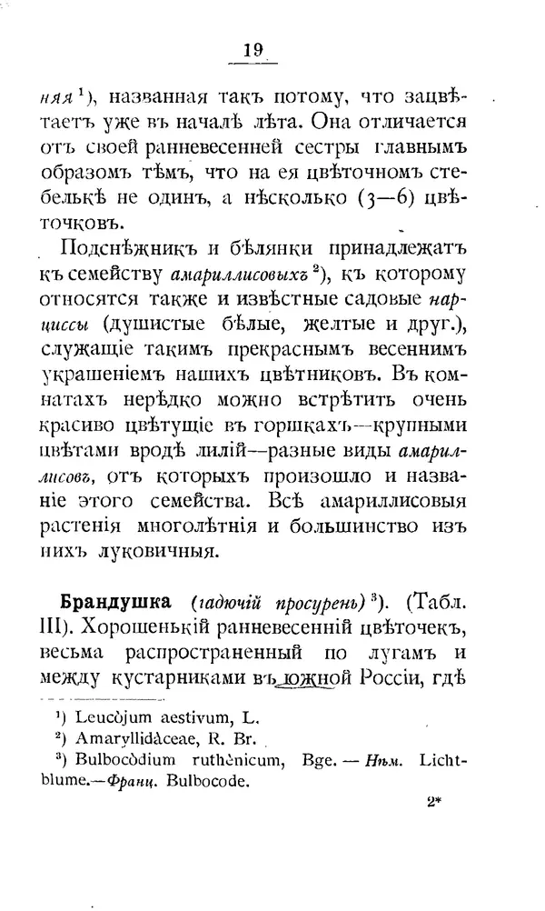 Дмитрий Кайгородов - Наши весенние цветы - Страница № 21