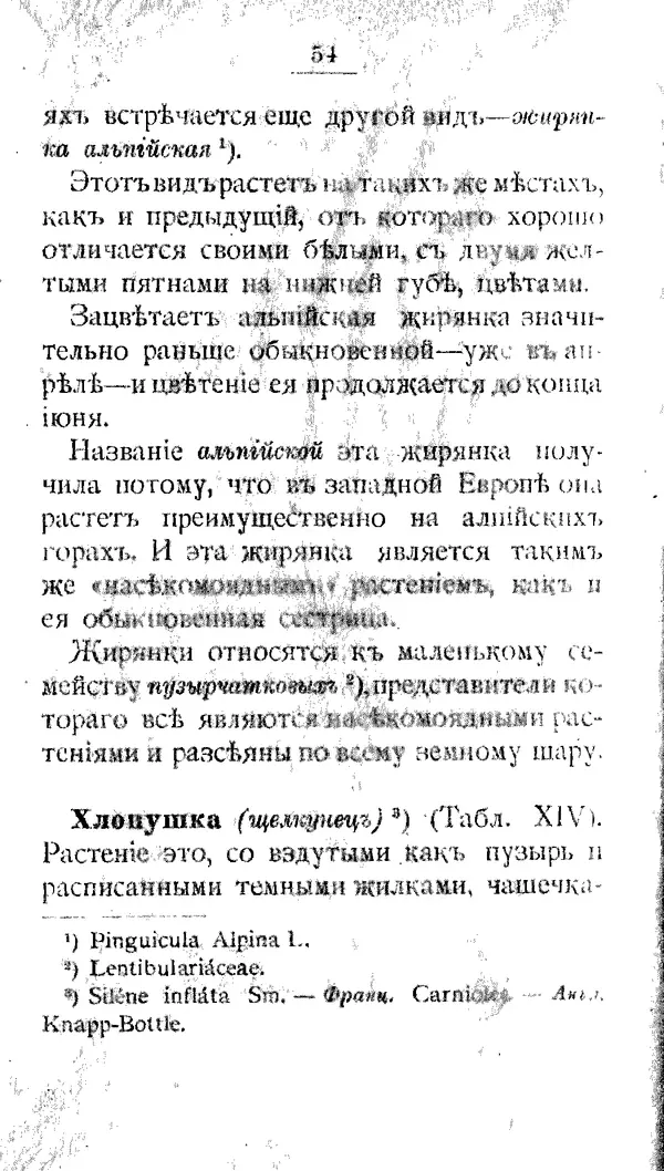 Дмитрий Кайгородов - Наши весенние цветы - Страница № 241