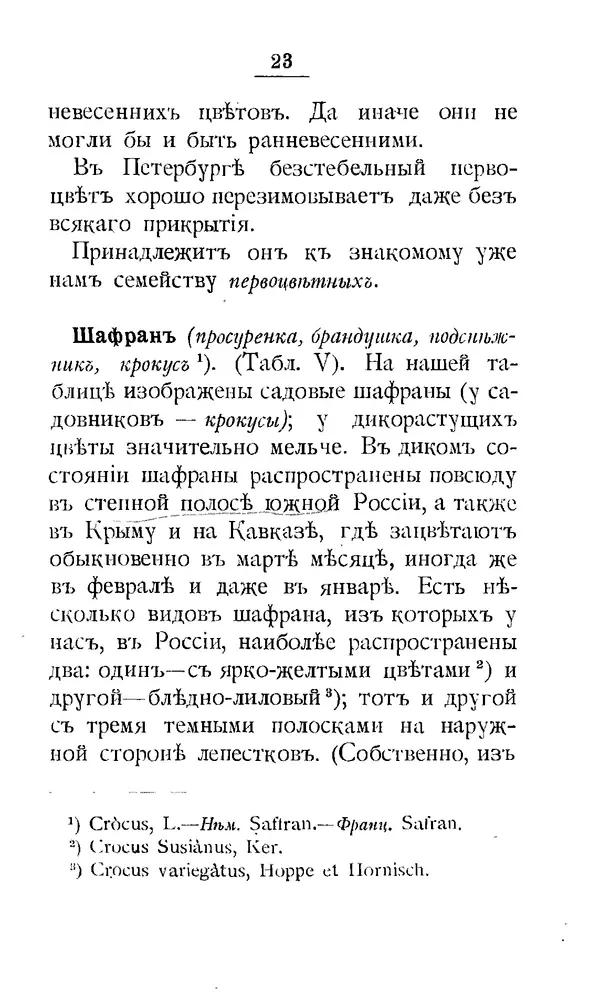 Дмитрий Кайгородов - Наши весенние цветы - Страница № 26