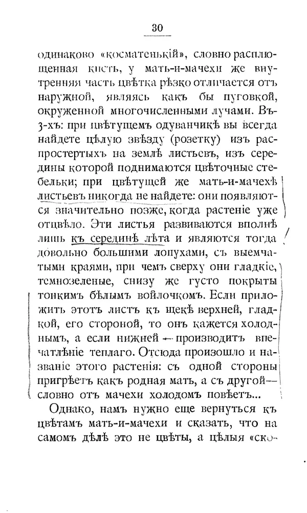 Дмитрий Кайгородов - Наши весенние цветы - Страница № 34
