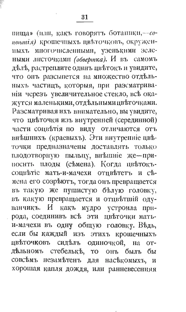 Дмитрий Кайгородов - Наши весенние цветы - Страница № 36