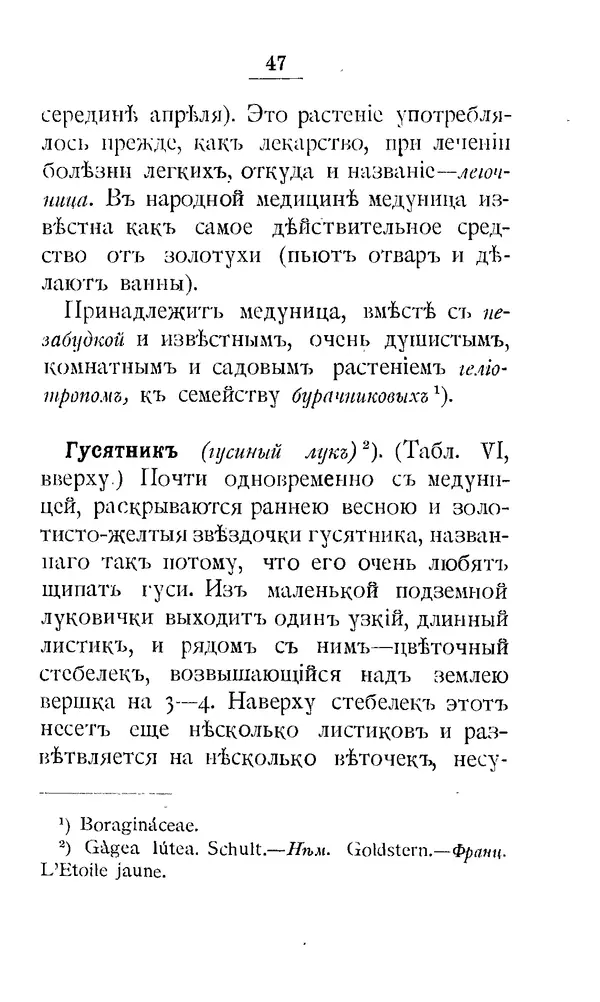 Дмитрий Кайгородов - Наши весенние цветы - Страница № 56