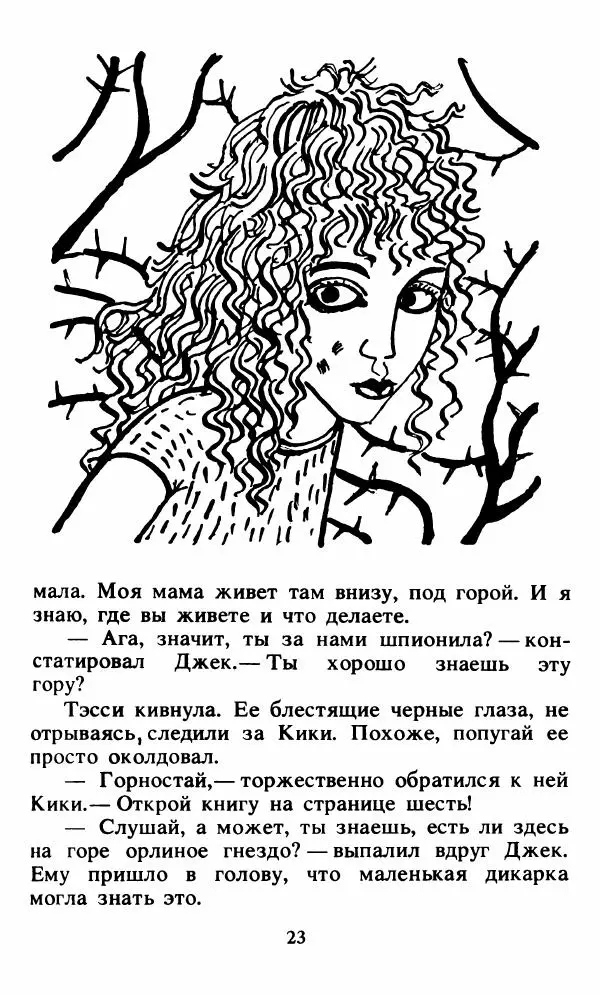 Энид Блайтон - Тайна орлиного гнезда - Страница № 24