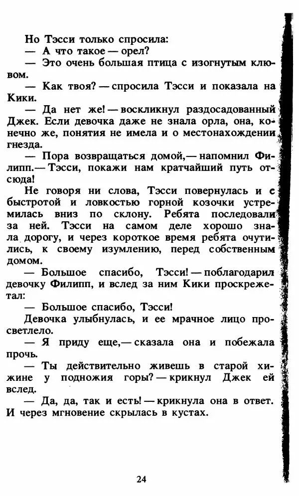 Энид Блайтон - Тайна орлиного гнезда - Страница № 25