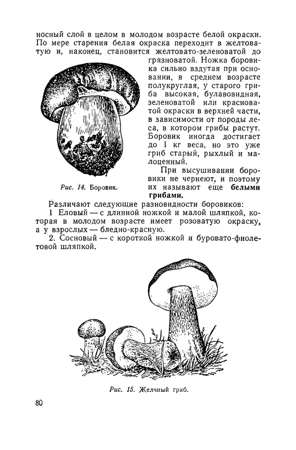 Давид Шапиро - Консервирование овощей и грибов в домашних условиях - Страница № 81