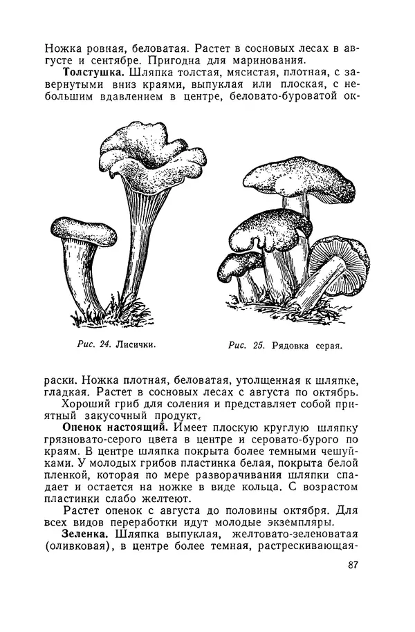 Давид Шапиро - Консервирование овощей и грибов в домашних условиях - Страница № 88