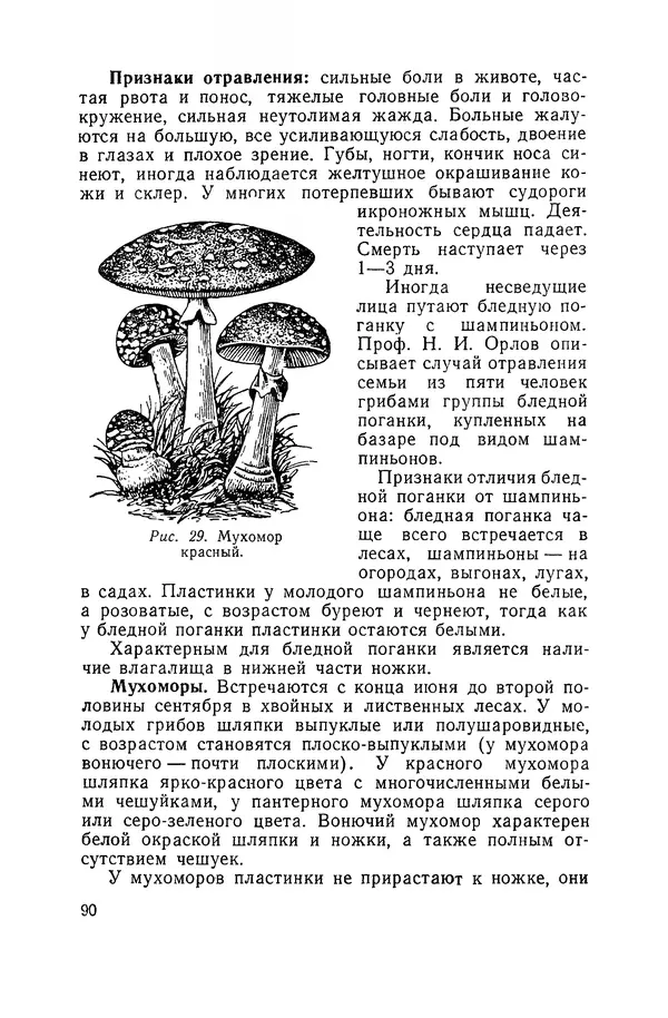 Давид Шапиро - Консервирование овощей и грибов в домашних условиях - Страница № 91
