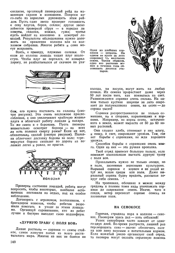 Коллективный сборник - Книга вожатого - Страница № 239 Коллективный сборник - Книга вожатого - Страница № 239