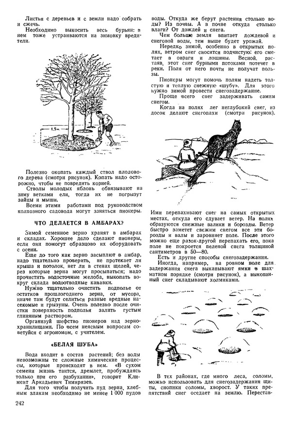 Коллективный сборник - Книга вожатого - Страница № 241 Коллективный сборник - Книга вожатого - Страница № 241