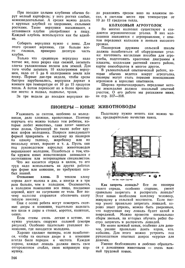 Коллективный сборник - Книга вожатого - Страница № 243 Коллективный сборник - Книга вожатого - Страница № 243