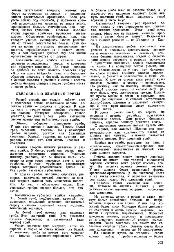 Коллективный сборник - Книга вожатого - Страница № 262 Коллективный сборник - Книга вожатого - Страница № 262