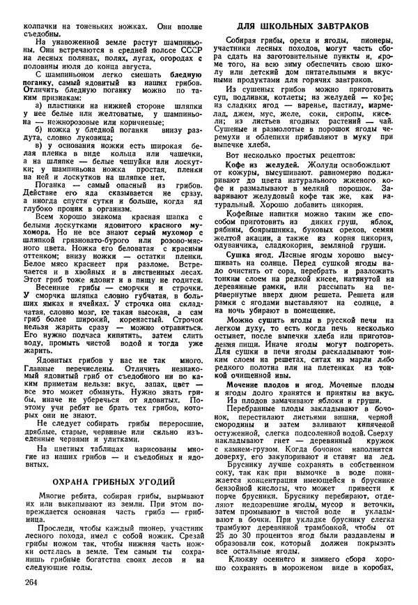 Коллективный сборник - Книга вожатого - Страница № 263 Коллективный сборник - Книга вожатого - Страница № 263