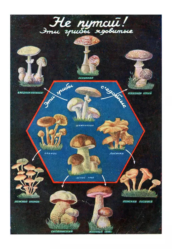 Коллективный сборник - Книга вожатого - Страница № 264 Коллективный сборник - Книга вожатого - Страница № 264